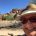 Barb Owens- Arvidson - @barbarvidson - Instagram