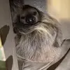 barbaraaash - @barbaraaash - TikTok