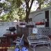Barbara Ashbrook - Facebook