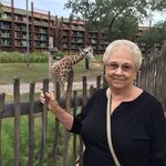 Barbara Ashcraft - @barb1762 - Instagram