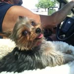 Barbara Ashcraft - @appearances_salon_inc - Instagram