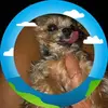 barbaraashcraft70 - @barbaraashcraft70 - TikTok
