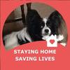 Barbara Ashcroft Heppinstall - @barbara.ashcroft - TikTok