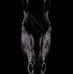 Barbara Ashe - Facebook