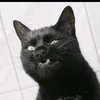 BarbaraRasmussen - @orlanucsdde - TikTok