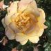 Barbara Atkin - Facebook