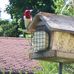 Barbara Atkin - Facebook