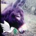 Barbara Atkin - Facebook
