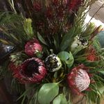 Barbara Atkins-Denby - @barbaraatkinsdenby - Instagram