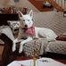Barbara Steen Audette - Facebook