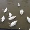 barbaraaugustyno5 - @barbaraaugustyno5 - TikTok