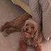 Barbara Augustine - Facebook