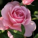 Barbara Augustyn - @augustyn2730 - Instagram