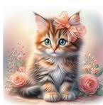 Barbara Augustyn - Facebook