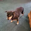 Barbara Avalos - @barbaraavalos21 - TikTok