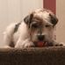 Barbara Axton - Facebook