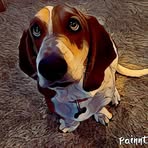 Barbara Ayers - Facebook