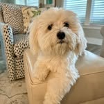 Barbara Ayoub Brown - @brownb420 - Instagram