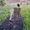 barbaraazorko - @barbaraazorko - TikTok