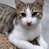 barbarazorzou - @barbarazorzou - TikTok