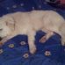 Barbara Azzarelli - Facebook
