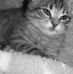 Barbara Azzarelli - Facebook
