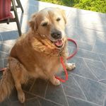Barbara Baader - @barbara.baader.9 - Instagram