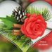 Barbara Babula - Facebook