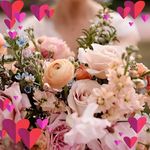 Barbara A Baccari - @baccariesq - Instagram