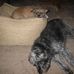 Barbara Bacchus - Facebook