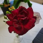 Barbara Bacchus - @whosyournana2024 - Instagram