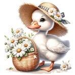 Bacci Barbara - Facebook