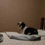 Barbara E Dillsworth Bachman - @dillsworthbachman - Instagram