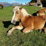 Barbara Bachmann - @barbara.bachmann.739 - Instagram