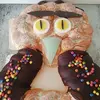 barbarabackhaus61 - @barbarabackhaus61 - TikTok
