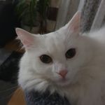Anna Barbara Bamberger - @annabarbarabamberger - Instagram