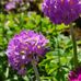 Barbara Baran - Facebook
