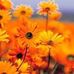 Barbara Baratta - Facebook
