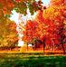 Barbara Baratta - Facebook