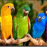 Barbara Barbeau - @ratabalba - Instagram