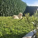 Barbara Barbier - @barbara.barbier.52 - Instagram
