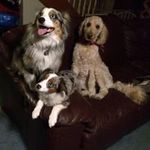 Barbara Barbour - Prince Zeus - @prince_zeus - Instagram