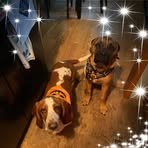 Scott-Barbara Barham - Facebook