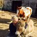 Barbara Barlar - Facebook