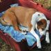 Barbara Barlow - Facebook