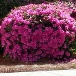 Barbara Barlow - @b.barlow43302 - Instagram