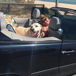 Barbara Barnard - @googs1 - Instagram