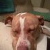 Barbara Barnard - Facebook
