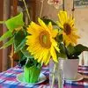 Barbara Barnard - @barbara.barnard7 - TikTok