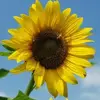 barbarabarnard609 - @barbarabarnard609 - TikTok